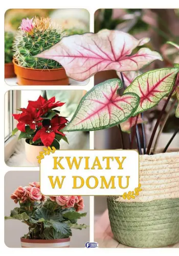 Kwiaty w domu